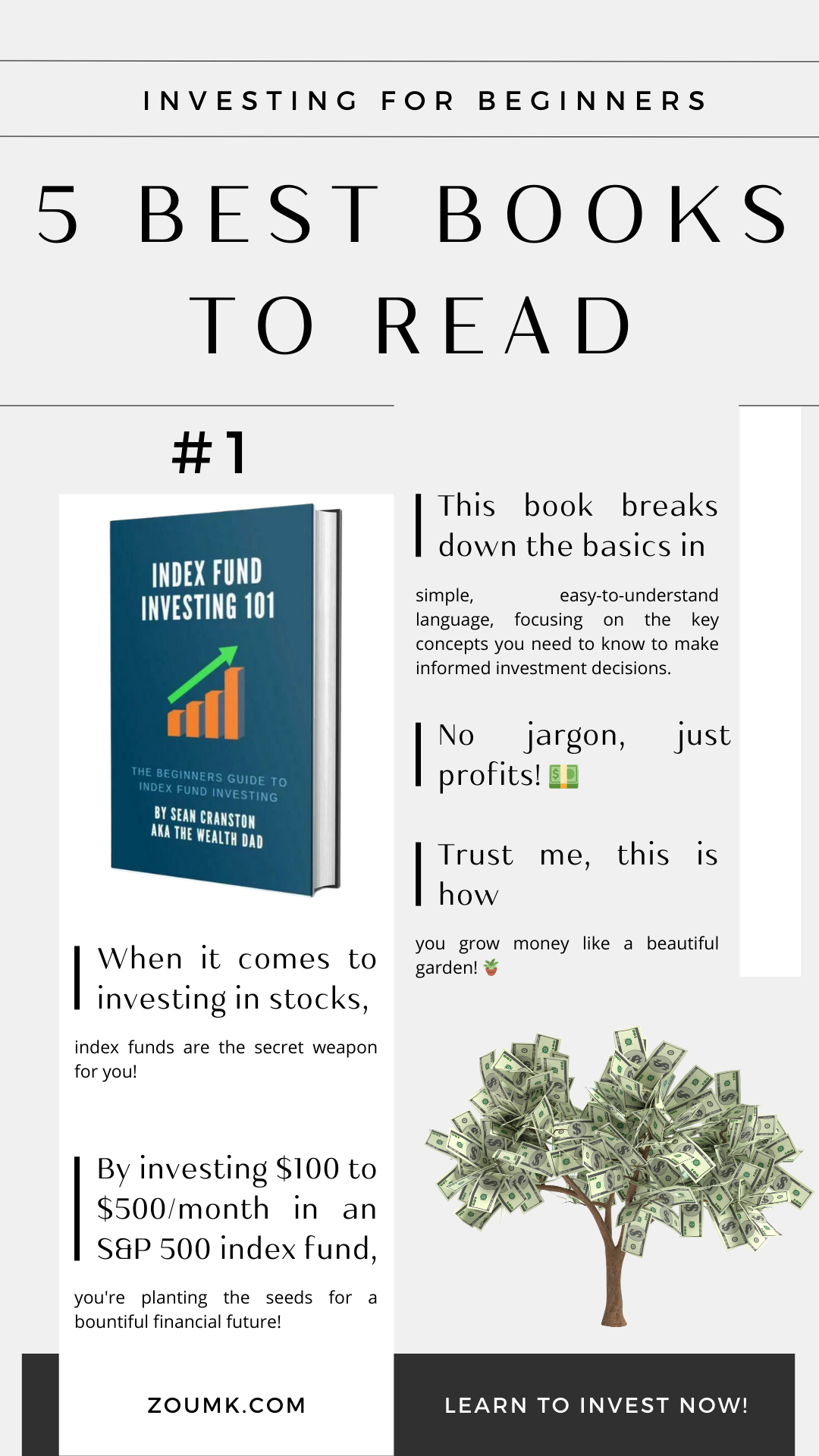 The Only 5 Investing Books Beginners Need to Read to Actually Make Good Money. #1: "Index Fund Investing 101" by The Wealth Dad