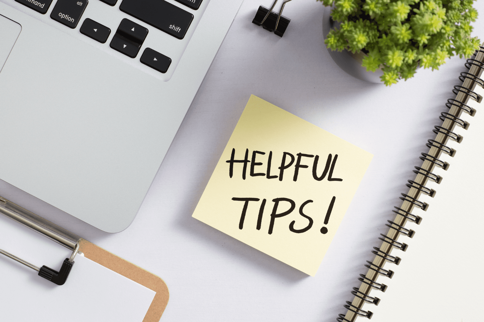 Best & Worst Online Business Ideas to Start in 2025 (for Beginners). Tips for Success in Online Business Ventures.